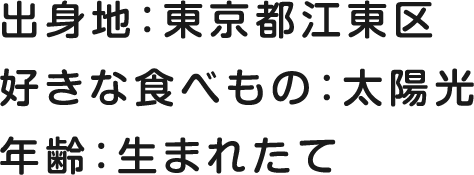 出身地：東京都江東区 好きな食べもの：太陽光 年齢：生まれたて